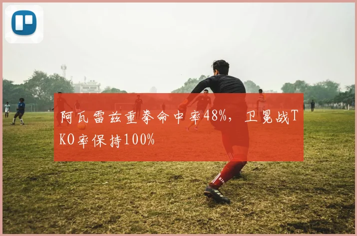 阿瓦雷兹重拳命中率48%，卫冕战TKO率保持100%